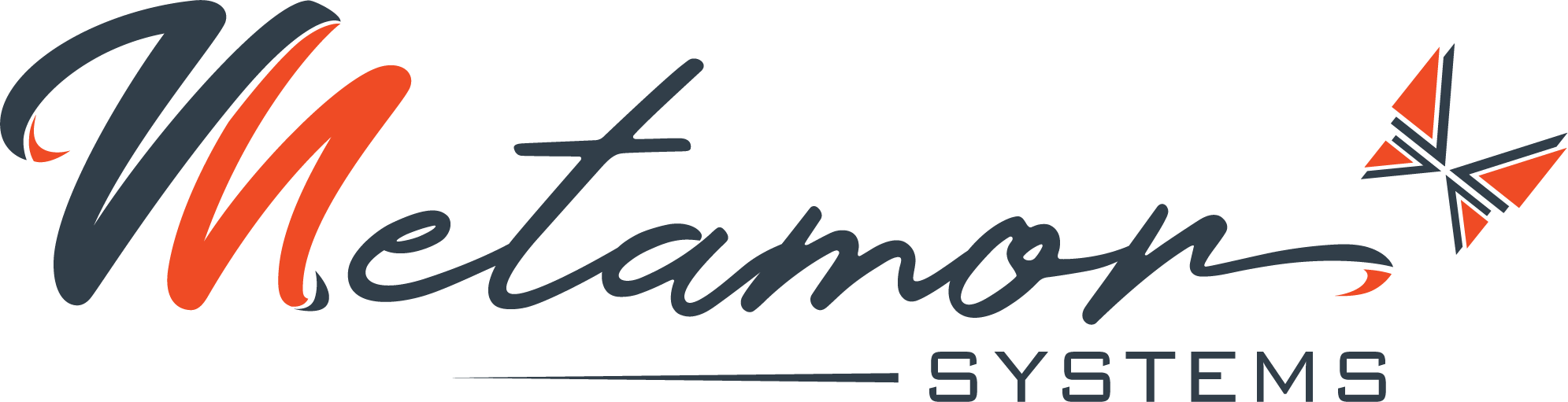 Metamor Systems